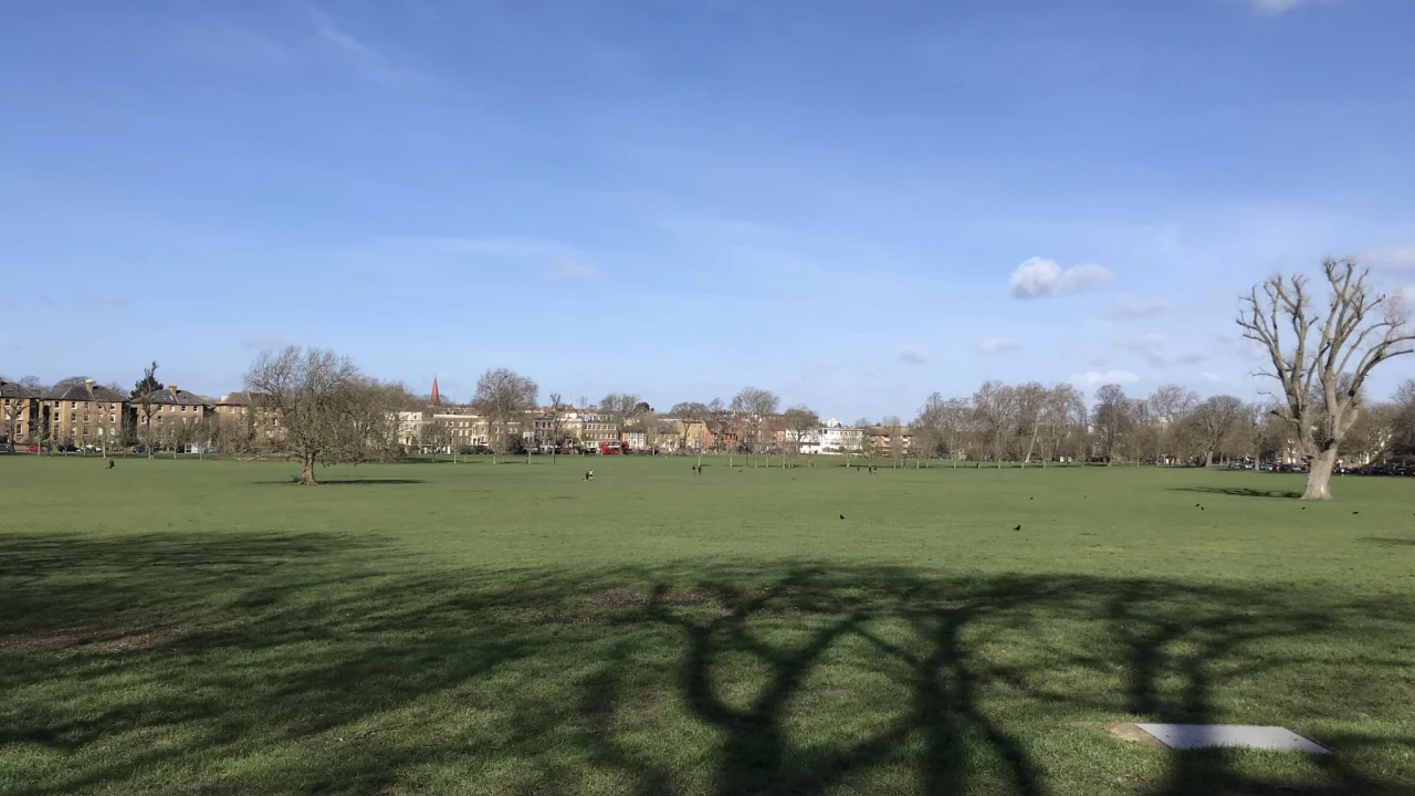 Peckham Rye Common